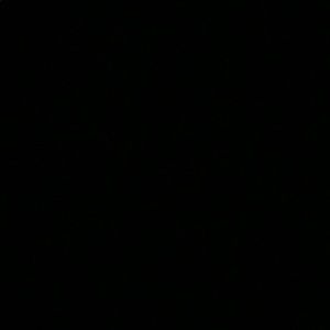 Meet your Posher, Israel